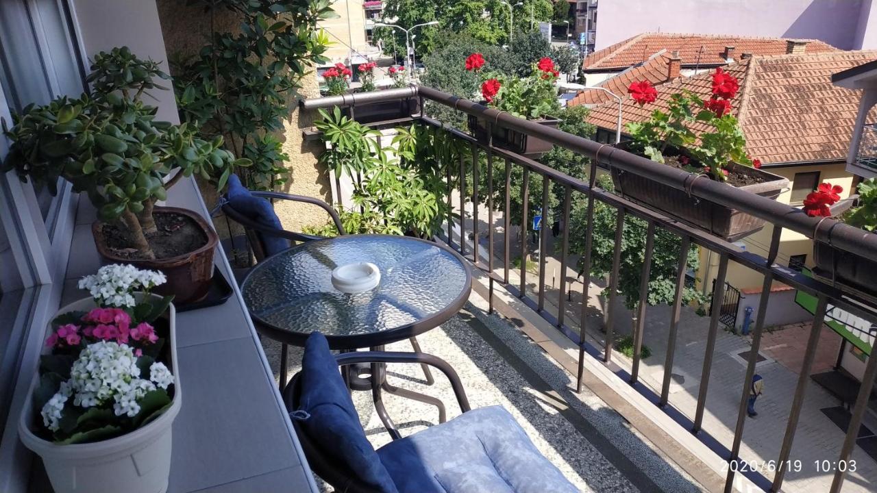Apartman Rada Пірот Екстер'єр фото