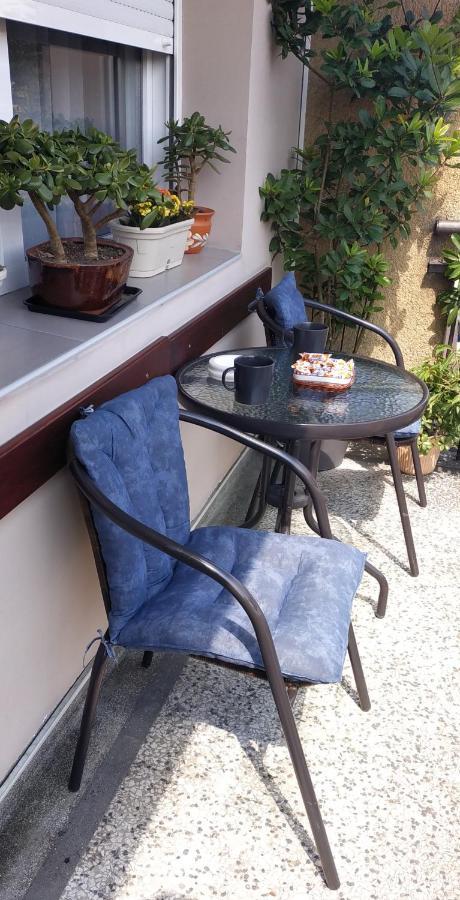 Apartman Rada Пірот Екстер'єр фото